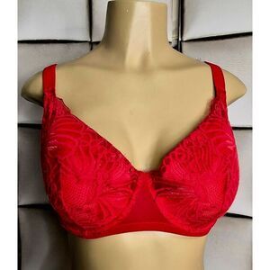 Paramour bra